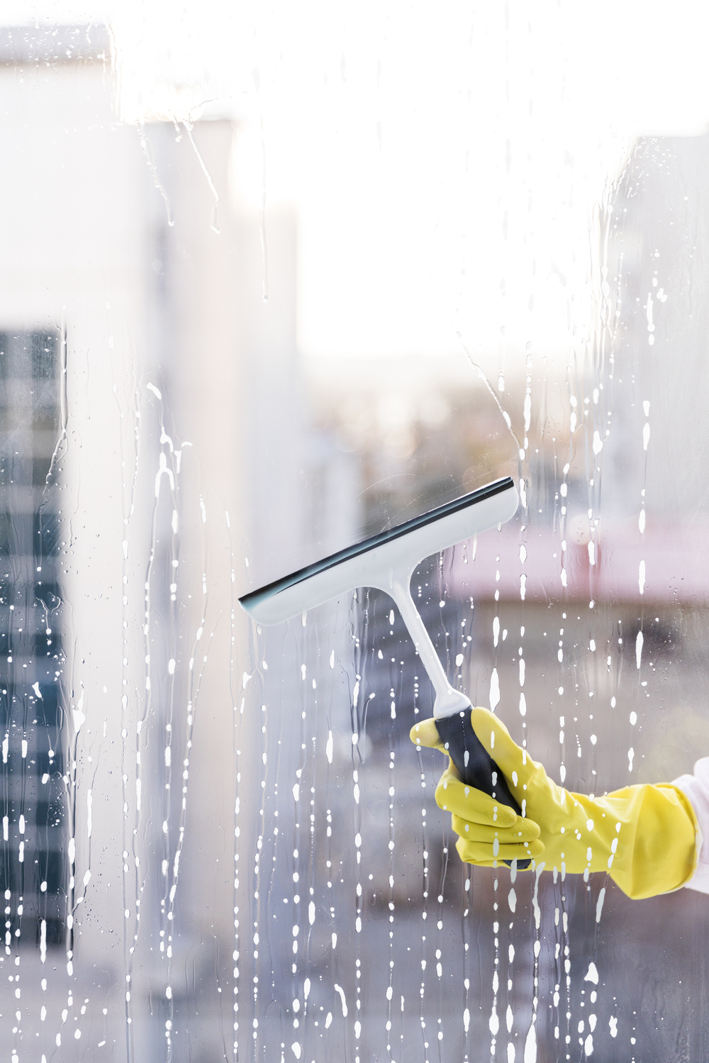 Window cleaning Services
